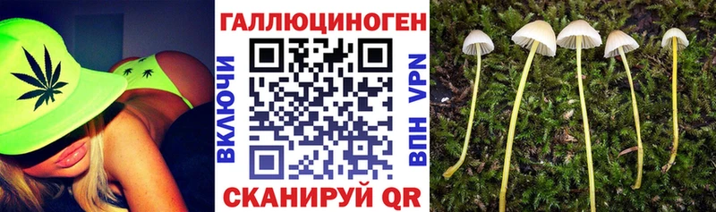 Псилоцибиновые грибы ЛСД  закладка  Шуя 